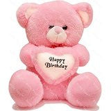 Richy Toys 2 Feet Around With Birthday Heart Stuffed Soft Plush Toy Kids Teddy Bear (Pink)